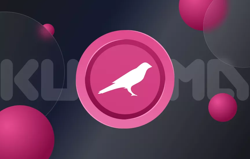 What Is Kusama (KSM) Network?