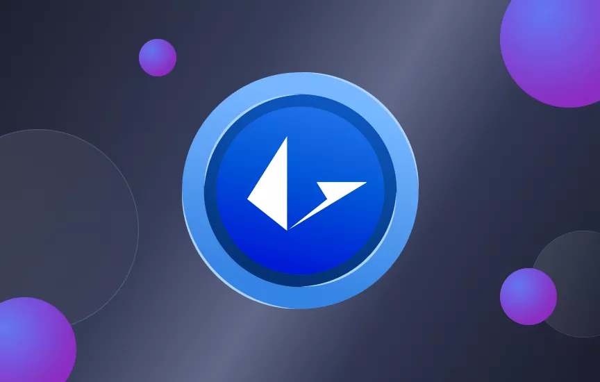 What Is Loopring | Detailed Review