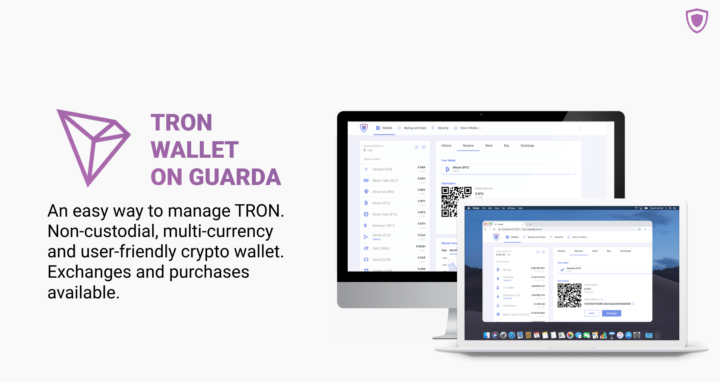 TRON wallet guide | How to store TRX securely